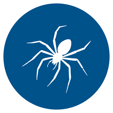 Spiders
