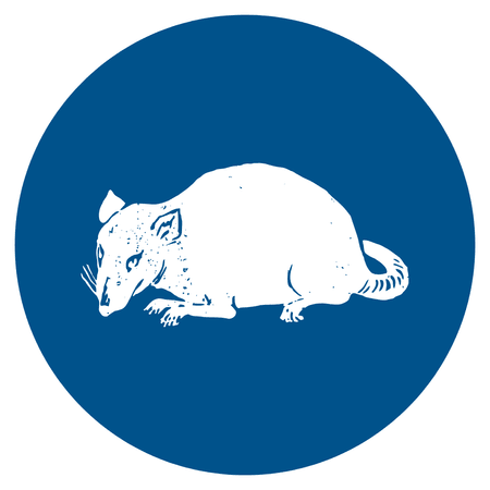 Rodents

