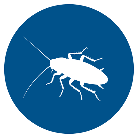 Indoor Pests
